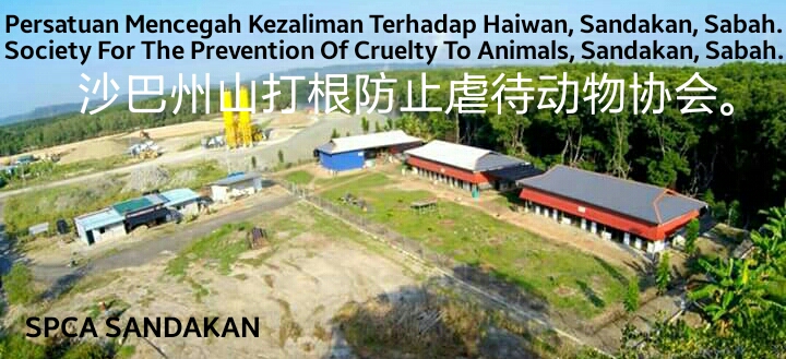 SPCA Sandakan Animal Shelter