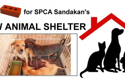 Support Your Local SPCA