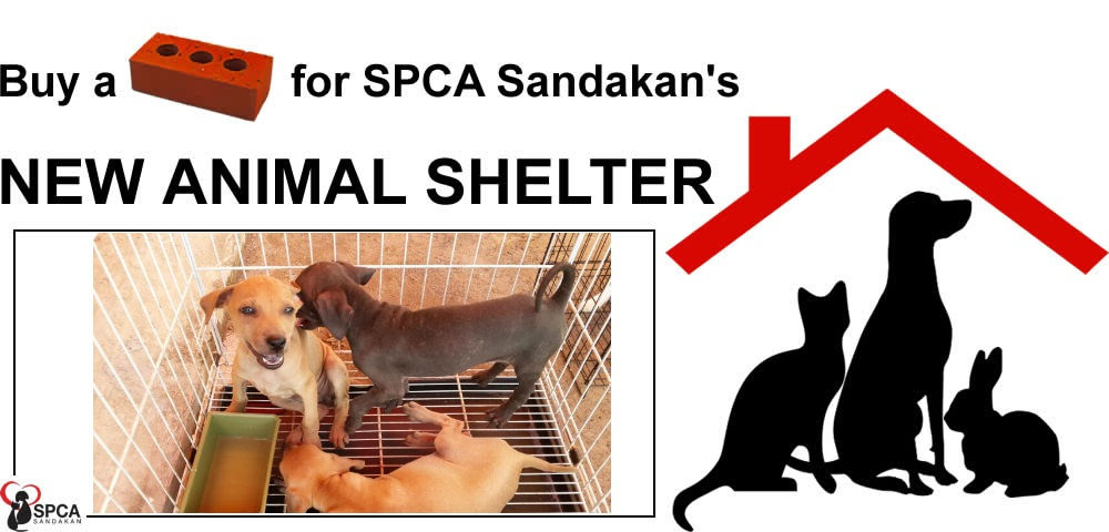 Support Your Local SPCA