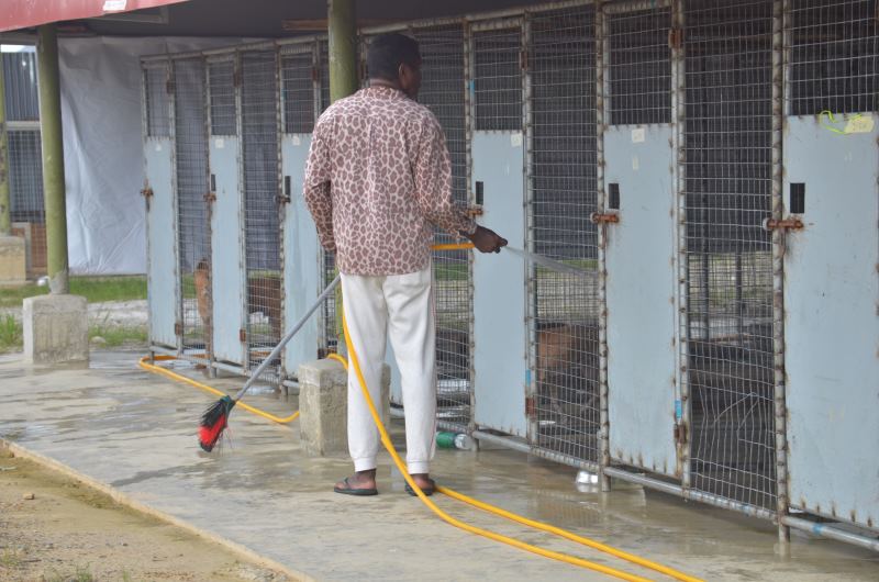 SPCA Staff Cleaning The Shelter