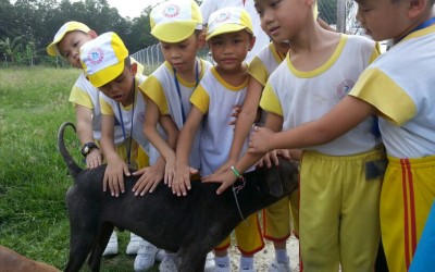Yuk Choi Kindergarten Excursion to SPCA Shelter