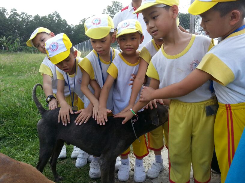 Yuk Choi Kindergarten Excursion to SPCA Shelter