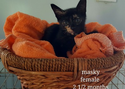 Masky – 2.5 months