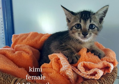 Kimi – 2.5 months