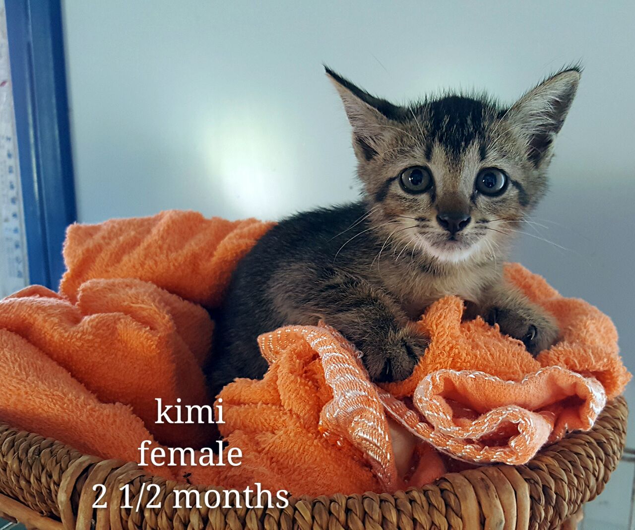 Kimi – 2.5 months